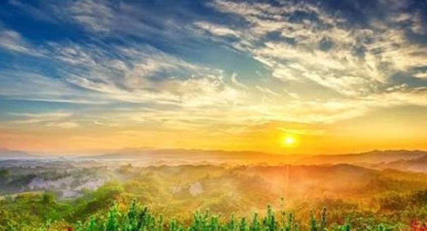团队星图鉴 - 糖心传媒 - 幕后创意明星团队介绍专区